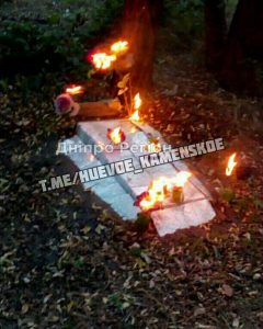 Под Днепром подростки на кладбище животных сломали и сожгли кресты (ФОТО)