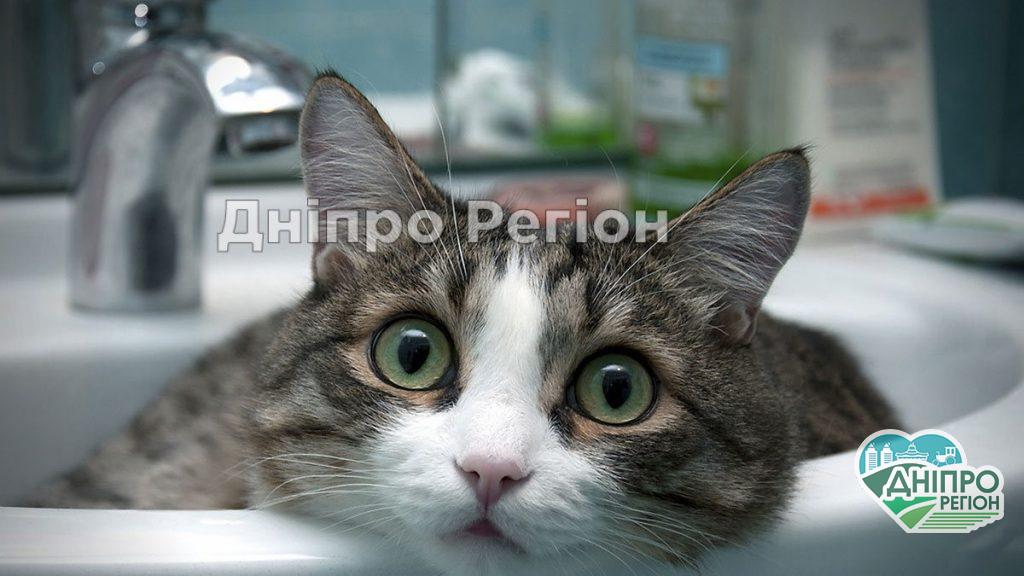 Зробіть запаси питної води: 15 серпня у Дніпрі та Дніпровському районі цілу добу не буде водопостачання Зробіть запаси питної води: 15 серпня у Дніпрі та Дніпровському районі цілу добу не буде водопостачання