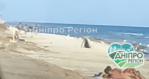 Рядом были люди и маленькие дети: молодая пара из Днепра опозорилась на весь пляж Пара из Днепра занялись любовью прямо на пляже в Железном порту