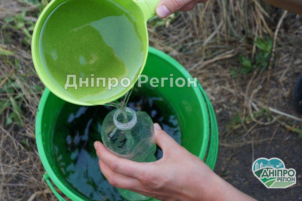 Под Днепром в самой чистой реке Европы обнаружили высокие показатели фосфатов и нитратов