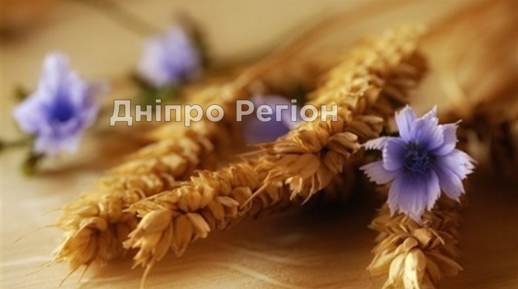 28 серпня свято Успіння Святої Богородиці або Перша Пречиста 28 серпня свято Успіння Святої Богородиці або Перша Пречиста