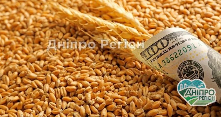 На Дніпропетровщині ціни на пшеницю досягли 10-річного максимуму Аграрії Дніпропетровщини в шоколаді: ціни на пшеницю досягли 10-річного максимуму