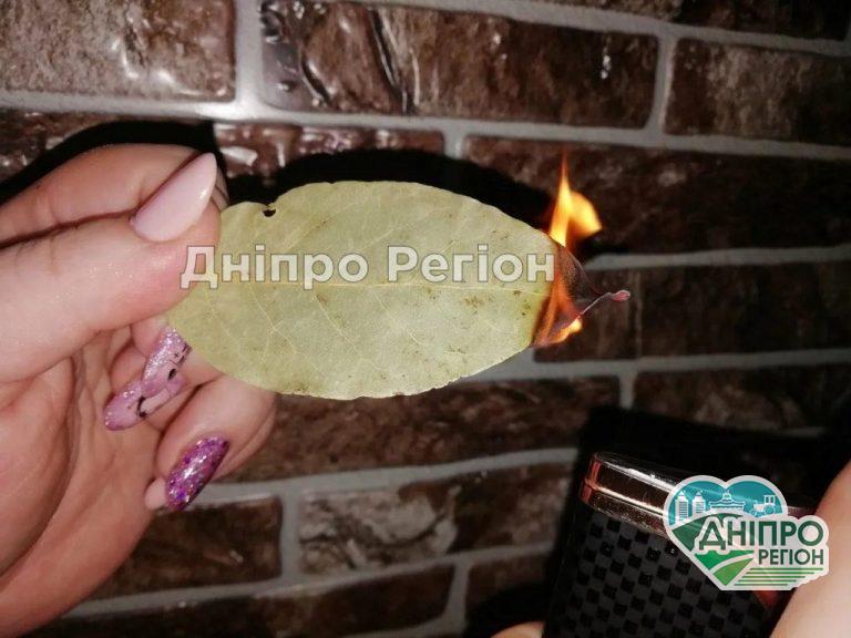Подожги в доме лавровый лист. Ты не поверишь, что произойдет дальше