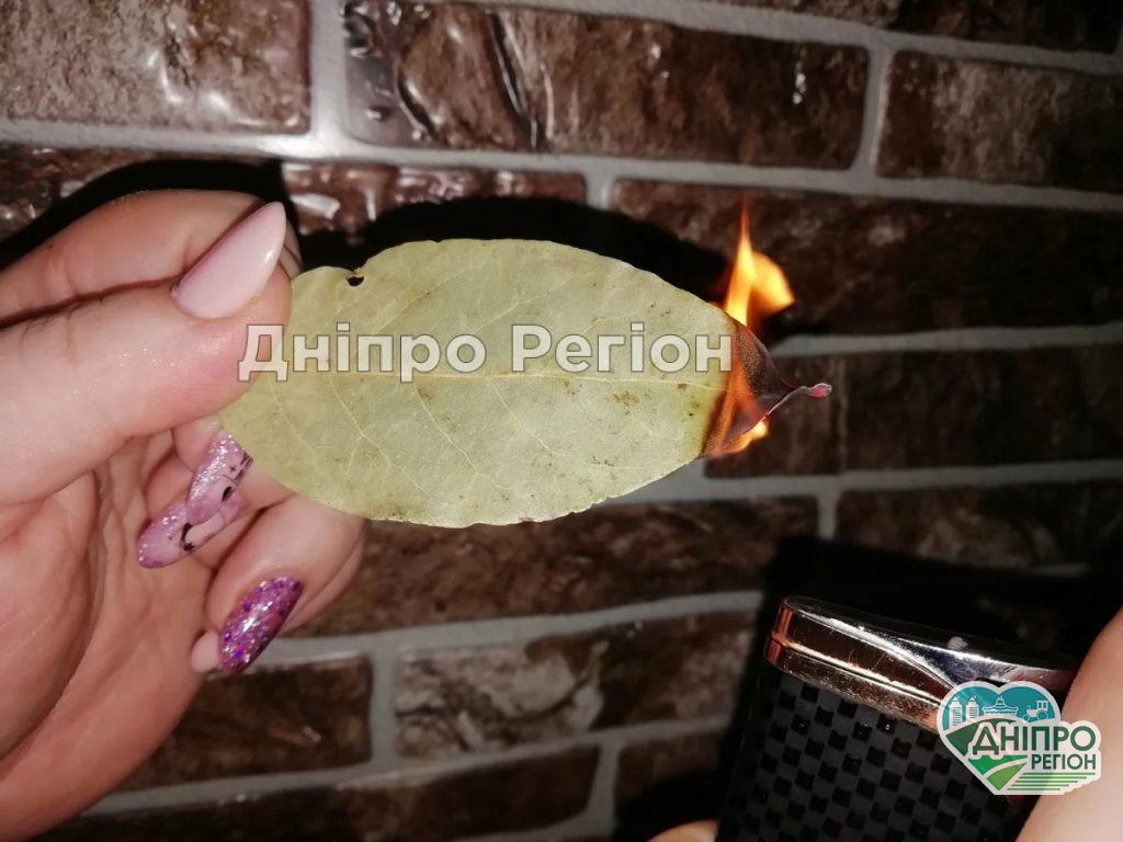 Подожги в доме лавровый лист. Ты не поверишь, что произойдет дальше Подожги в доме лавровый лист. Ты не поверишь, что произойдет дальше