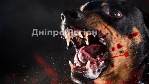 В Днепре на территории школы бойцовская собака напала на 8-летнюю девочку