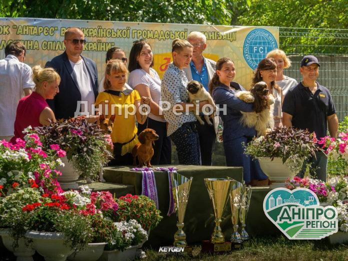 У Павлограді пройшла Національна виставка собак (ФОТО) У Павлограді пройшла Національна виставка собак (ФОТО)