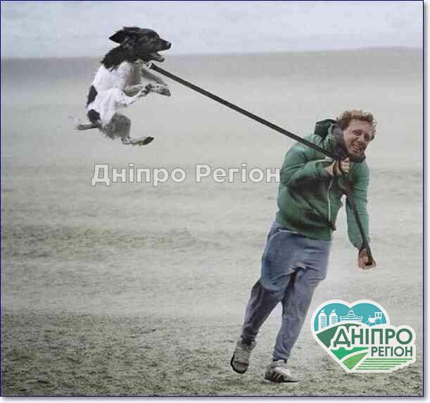 Не ходіть під деревами: сьогодні в Дніпрі оголошено перший рівень небезпечності