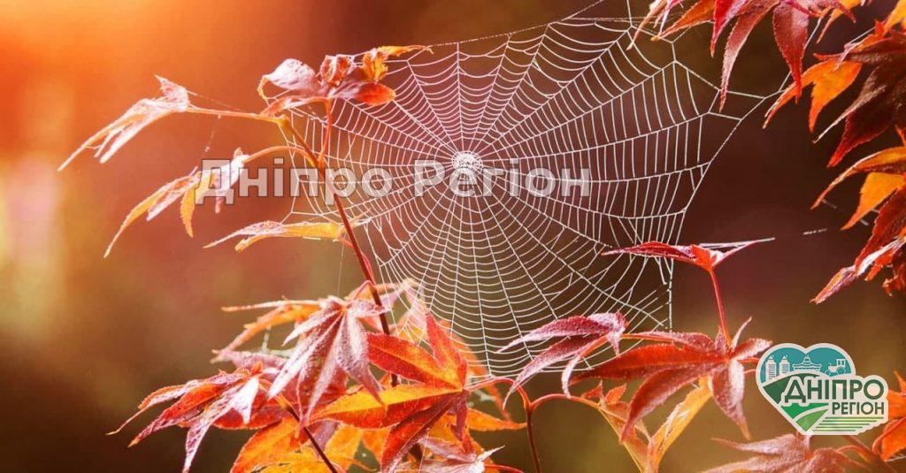 У Дніпрі стало відомо, коли синоптики обіцяють бабине літо