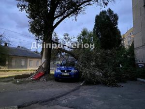 У Дніпрі дерево впало на машину біля багатоповерхівки