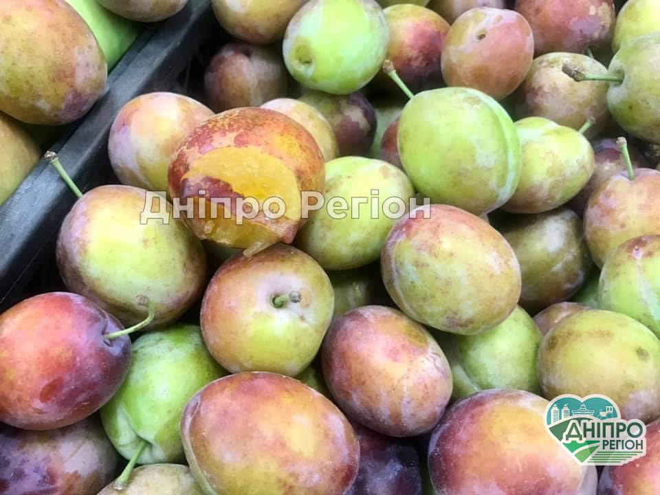 У Дніпрі в АТБ покупці почали гризти фрукти на прилавку (Фото) У Дніпрі в АТБ покупці почали гризти фрукти на прилавку (Фото)