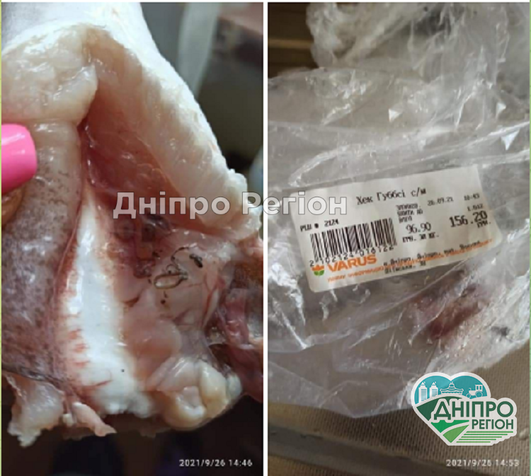 У Дніпрі в супермаркеті Варус виявили хек із глистами (ФОТО) У Дніпрі в супермаркеті Варус виявили хек із глистами (ФОТО)