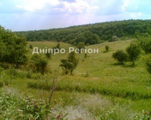 На Дніпропетровщині знищена частина заповідного урочища Гора Калитва