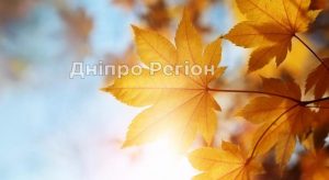 У Дніпрі погода побила температурні рекорди, – відомий синоптик