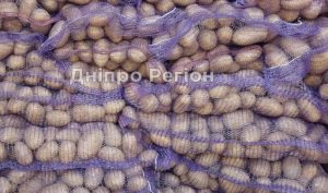 На Чернігівщині побилися закупівельники картоплі