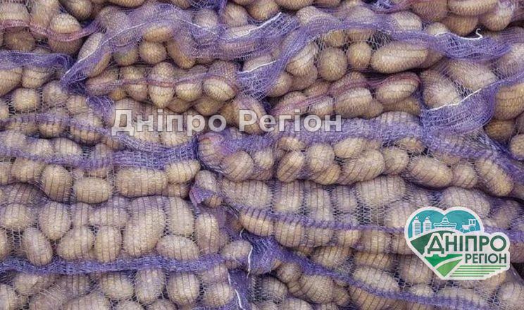 На Чернігівщині побилися закупівельники картоплі На Чернігівщині побилися закупівельники картоплі