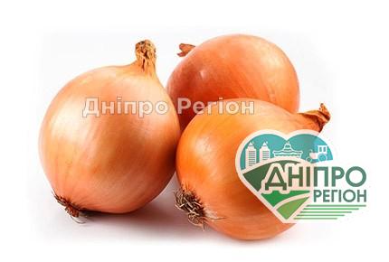 В Україні гуртові ціни цибулі досягли рекордної позначки В Україні гуртові ціни цибулі досягли рекордної позначки