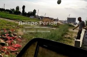 Фермери в Херсонській області знищують тонни кавунів (Відео)
