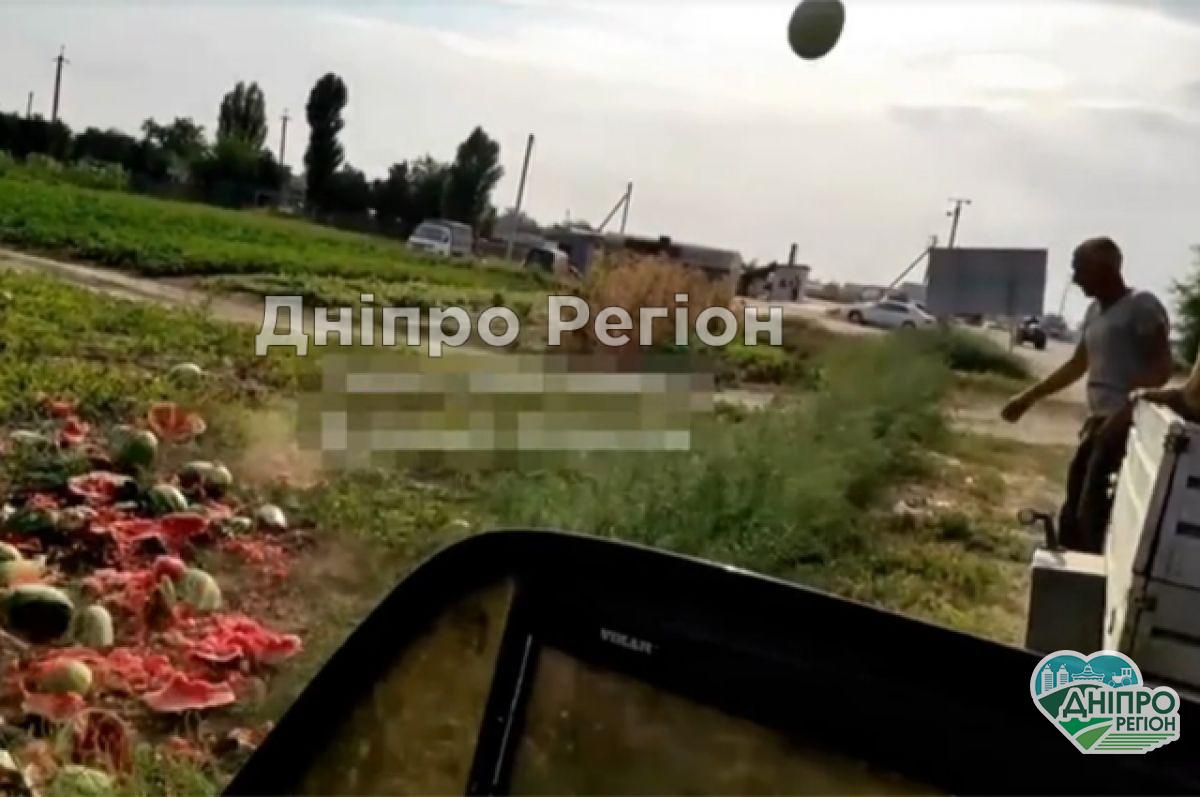 Фермери в Херсонській області знищують тонни кавунів: ніхто не хоче купувати за копійки (Відео)