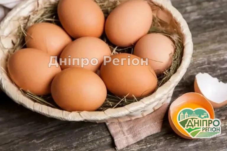 В Україну ввозять контрабанду білоруських яєць: що треба знати дніпрянам В Україну ввозять контрабанду білоруських яєць: що треба знати дніпрянам