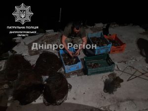 Раки на вагу золота: на Дніпропетровщині поліціянти піймали рибалок (Фото)