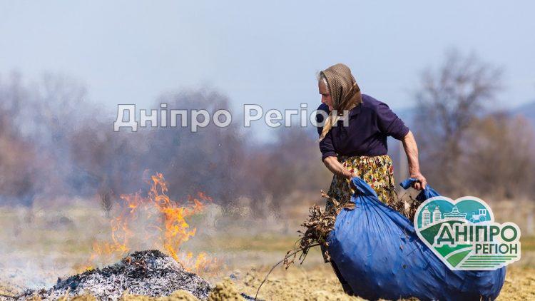 У Дніпрі розшукують паліїв осіннього листя: як виявляють порушників (ФОТО)