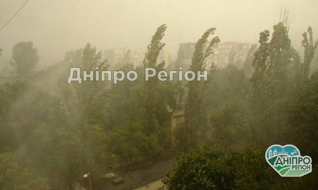 Не ставьте машины под деревьями: в Днепре и области объявлен I уровень опасности Не ставьте машины под деревьями: в Днепре и области объявлен I уровень опасности