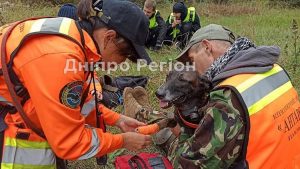 У Павлограді відома пошукова собака, яка багато років рятує людей, пішла на лікарняний