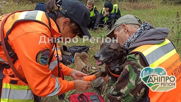 У Павлограді відома пошукова собака, яка багато років рятує людей, пішла на лікарняний У Павлограді відома пошукова собака Спаркі, яка багато років рятує людей, пішла на лікарняний