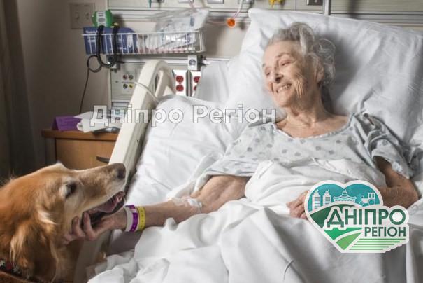 Почему люди стареют быстрее животных Стало меньше на десятки тисяч: на Дніпропетровщині зменшилась чисельність населення