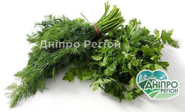 Яка зелень найшкідливіша: кріп, петрушка, базилік? Яка зелень найшкідливіша: кріп, петрушка, базилік?