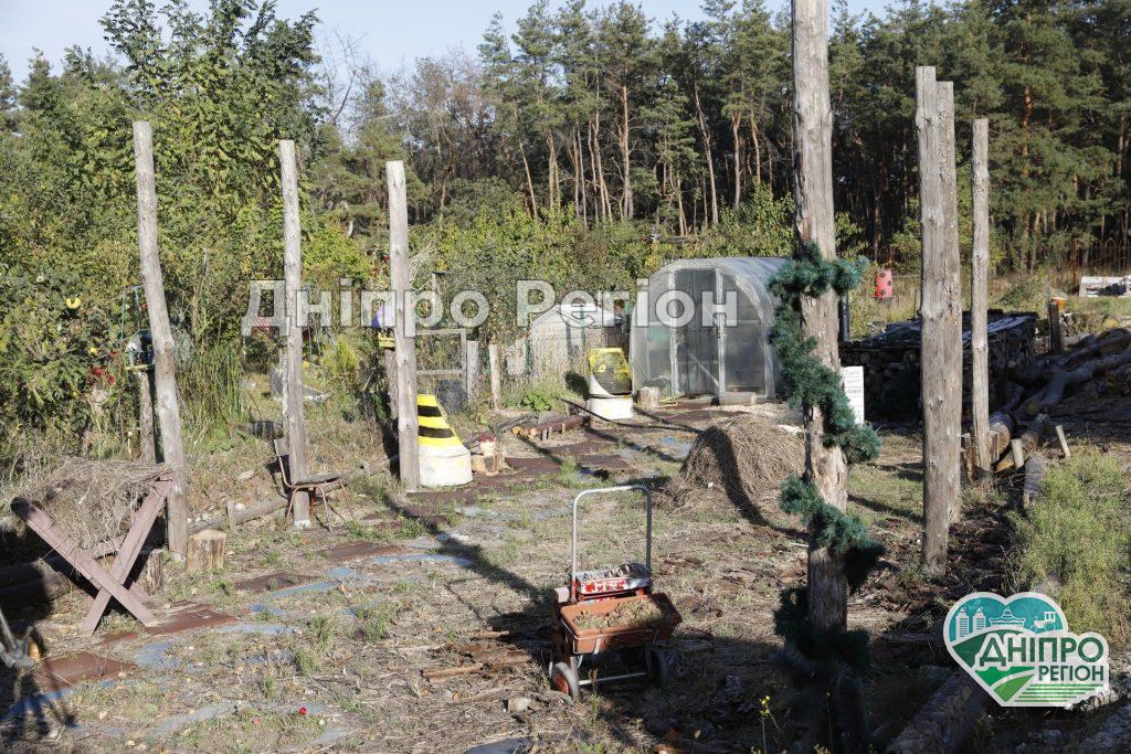 Не спалювати: дніпрянам розповіли, що робити із сухим листями, гілками та травою