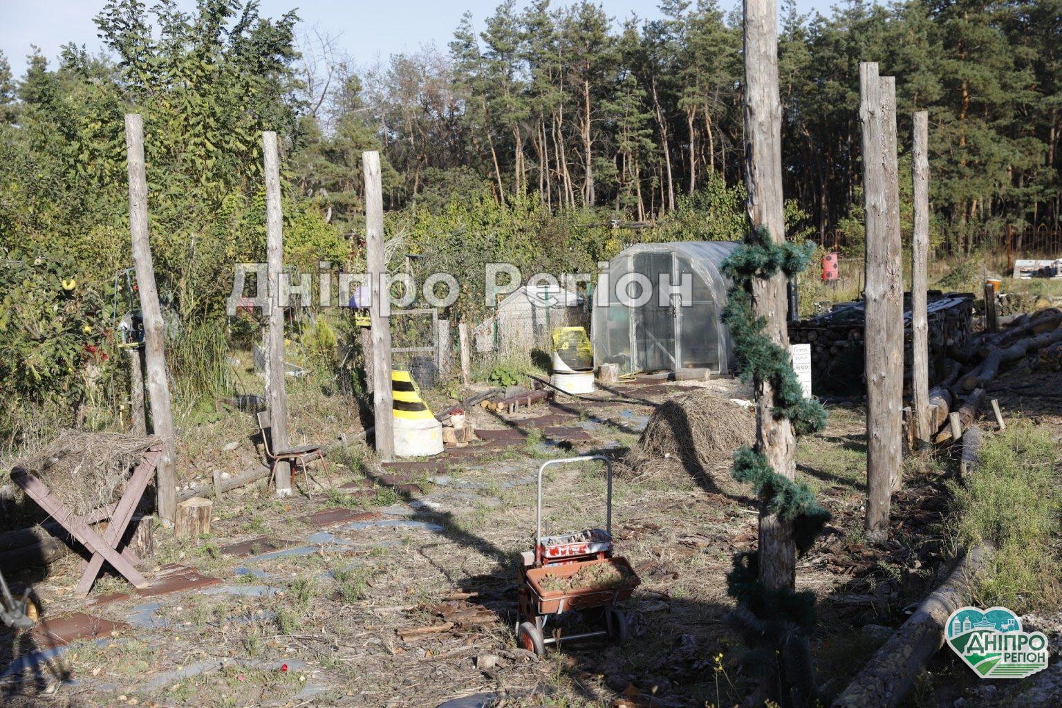 Не спалювати: дніпрянам розповіли, що робити із сухим листями, гілками та травою Не спалювати: дніпрянам розповіли, що робити із сухим листями, гілками та травою