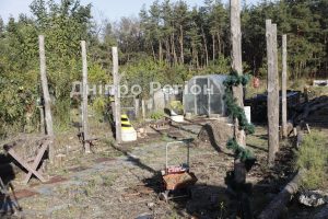 Не спалювати: дніпрянам розповіли, що робити із сухим листями, гілками та травою
