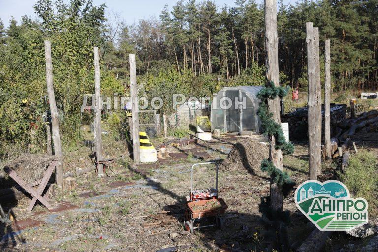 Не спалювати: дніпрянам розповіли, що робити із сухим листями, гілками та травою Не спалювати: дніпрянам розповіли, що робити із сухим листями, гілками та травою