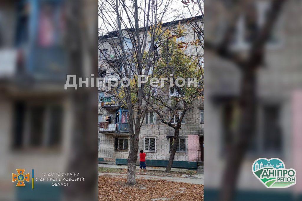 Допомогли рятувальники: на Дніпропетровщині вагітна жінка не могла злізти з дерева на рівні 4-го поверху