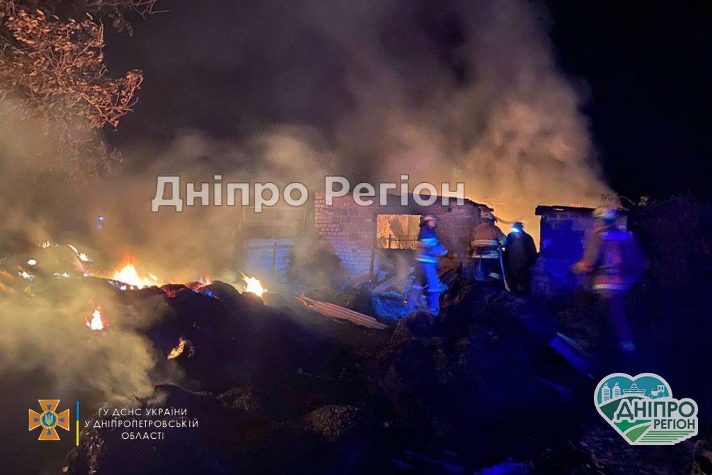 Худоба згоріла заживо: на Дніпропетровщині у вогні загинули 2 бичка та корова (Фото, Відео)