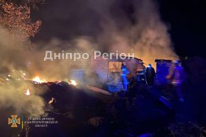 Худоба згоріла заживо: на Дніпропетровщині у вогні загинули 2 бичка та корова (Фото, Відео)
