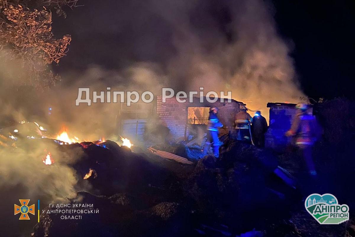 Худоба згоріла заживо: на Дніпропетровщині у вогні загинули 2 бичка та корова (Фото, Відео)