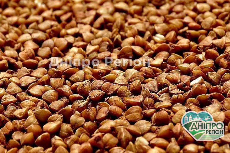 Україна вийшла на найбільший урожай гречки за останні 3 роки: що буде з цінами Україна вийшла на найбільший урожай гречки за останні 3 роки: що буде з цінами