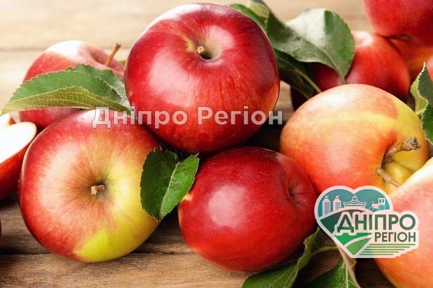У Дніпрі рекордно подешевшали яблука: такого давно не було У Дніпрі рекордно подешевшали яблука: такого давно не було