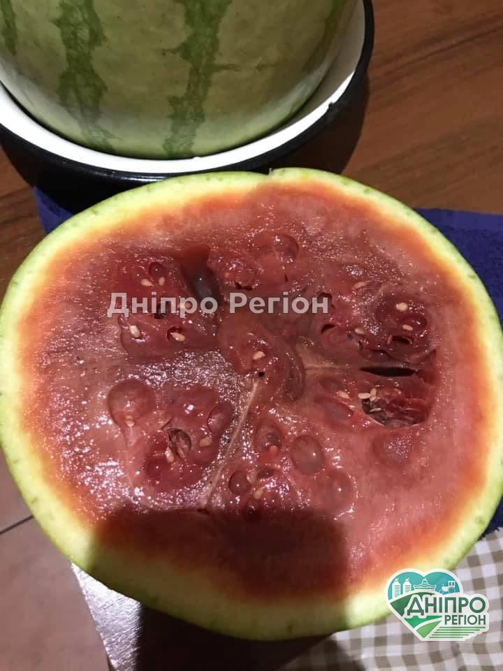 У Дніпрі в супермаркеті АТБ розгорівся скандал через кавун (Фото) У Дніпрі в супермаркеті АТБ стався скандал через кавун (Фото)