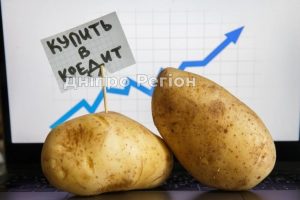 У Дніпрі зміниться ціна на картоплю: скільки вона коштуватиме взимку