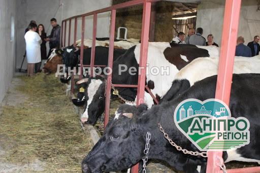 Подія року: на Дніпропетровщині з’являться перші сімейні молочні ферми Подія року: на Дніпропетровщині з’являться перші сімейні молочні ферми