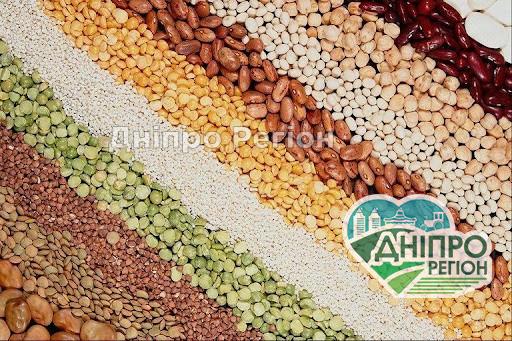 В Дніпрі зростають ціни на крупи: які каші найдоступніші В Дніпрі зростають ціни на крупи: які каші найдоступніші