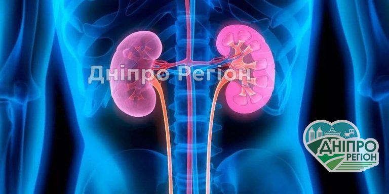 Дніпрянам розповіли, як відрізнити захворювання нирок від звичайного болю в спині Дніпрянам розповіли, як відрізнити захворювання нирок від звичайного болю в спині