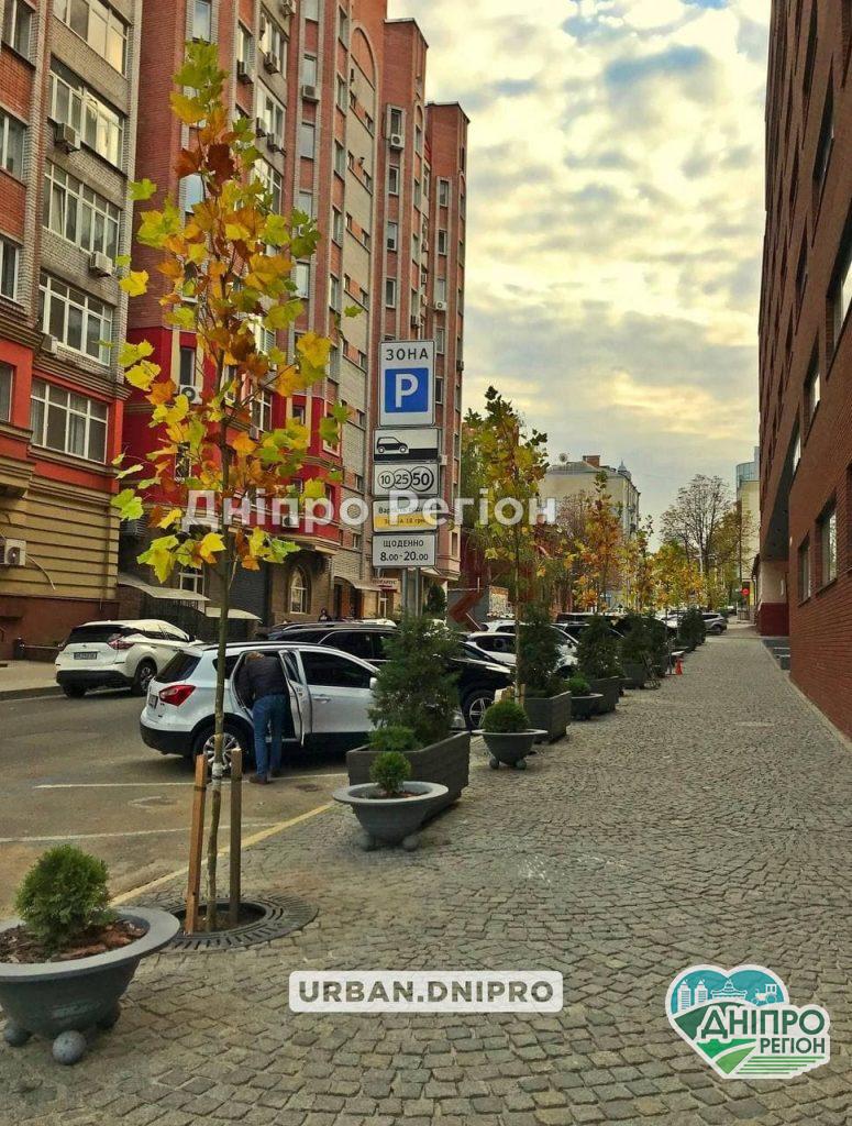 Ростуть платани: у Дніпрі посадили дерева, де їх не було 15 років (Фото) Ростуть платани: у Дніпрі посадили дерева, де їх не було 15 років (Фото)