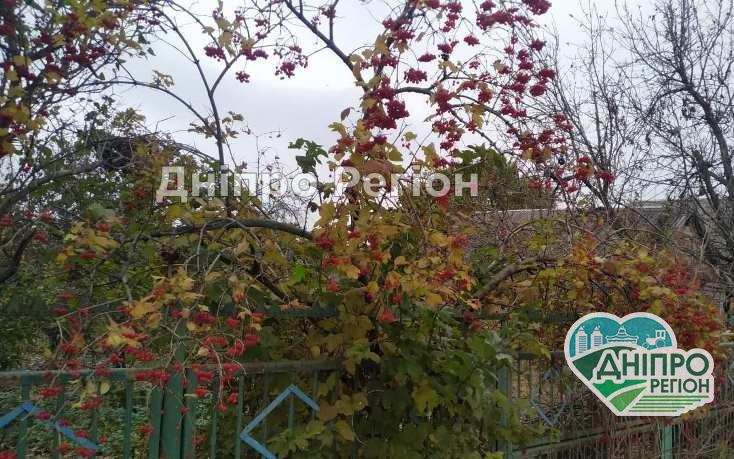 У Дніпрі сьогодні буде прохолодно: не забудьте вовняну кофту