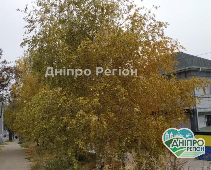 Погода в Дніпрі на 30 жовтня: сьогодні буде сонячно