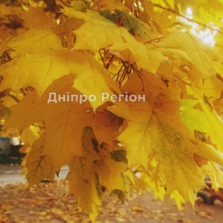 На Україну насувається циклон з дощами та штормовими вітрами: яку погоду очікувати у Дніпрі 24 жовтня