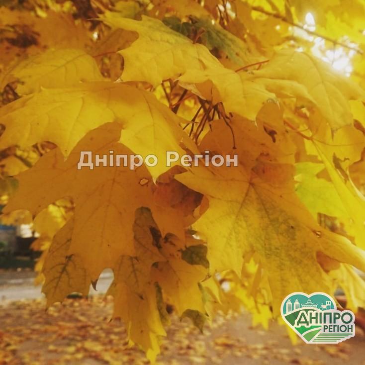 Погода в Дніпрі на 29 жовтня: не забудьте парасольку На Україну насувається циклон з дощами та штормовими вітрами: яку погоду очікувати у Дніпрі 24 жовтня